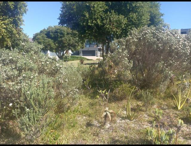 LAND FOR SALE IN VERMONT